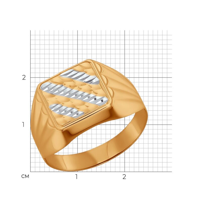 Apollo Textured Signet Ring - Image 2