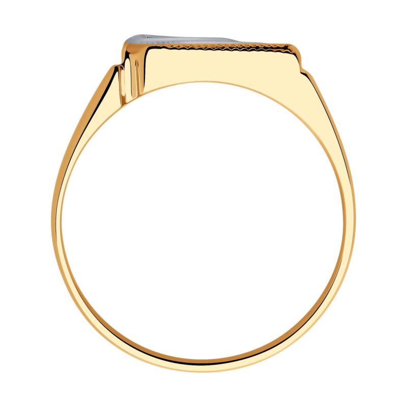 The Equinox Ring - Image 3