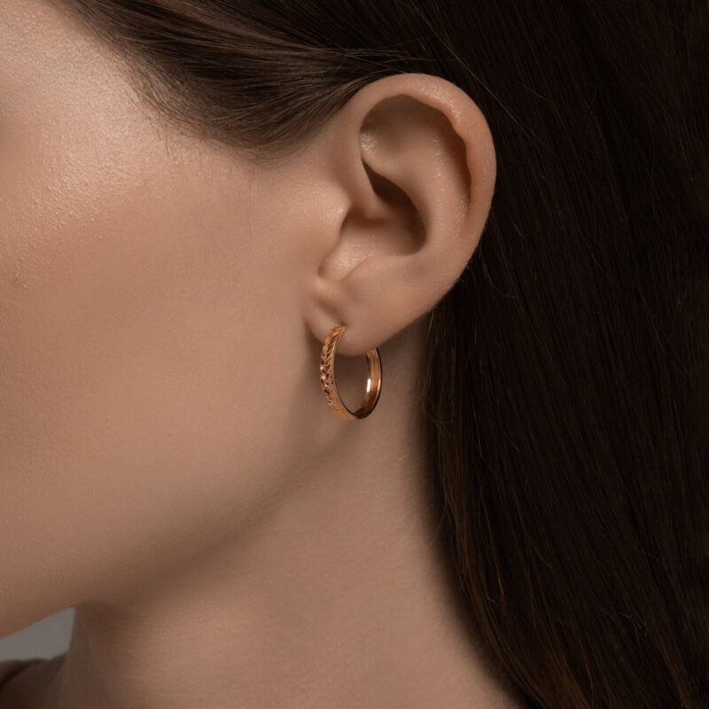 Vega Gleam Gold Earrings - Image 3