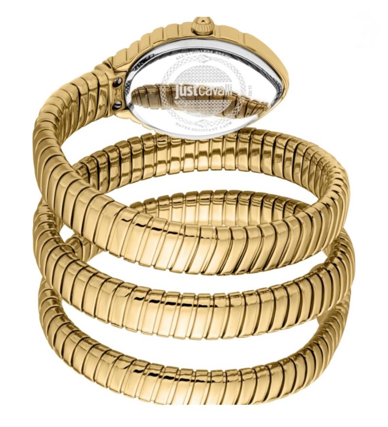 Just Cavalli JC1L323M0035 Women’s Watch - Image 3